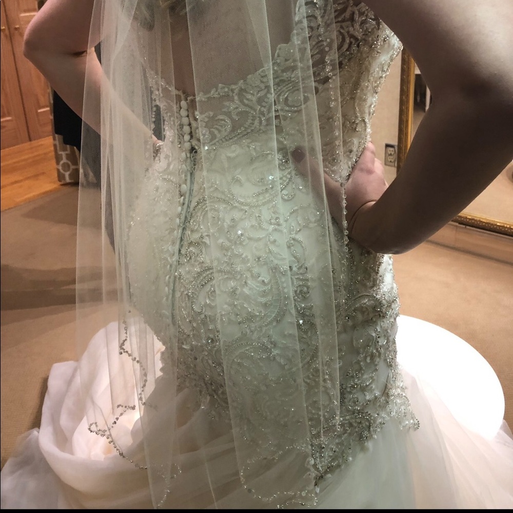 Veil